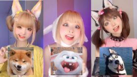 【200万フォロワー】規模がすごいぞ中国！ きゃりーぱみゅぱみゅ似の顔芸 2 tiktok